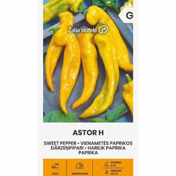 Paprika 'Astor' H