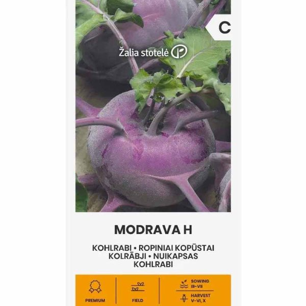 Kolrabbi 'Modrava' h