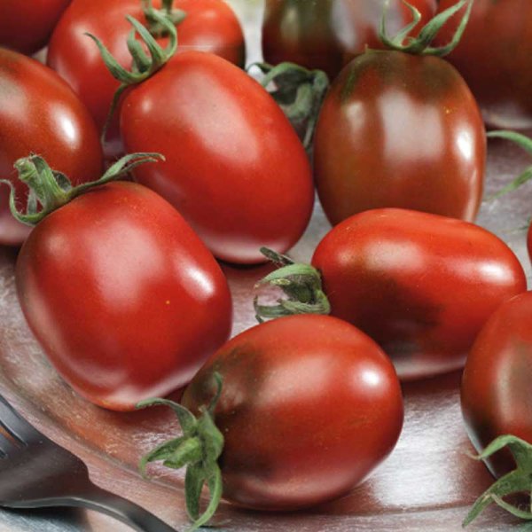 Tomat 'Prune Noire'