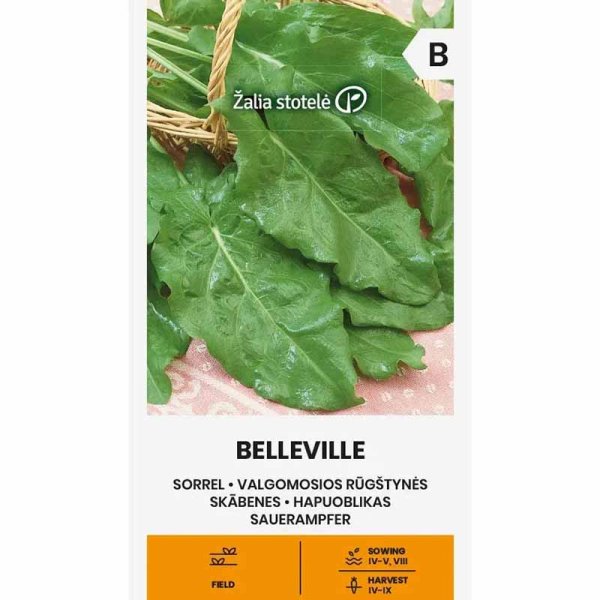 Ängssyra 'Belleville'