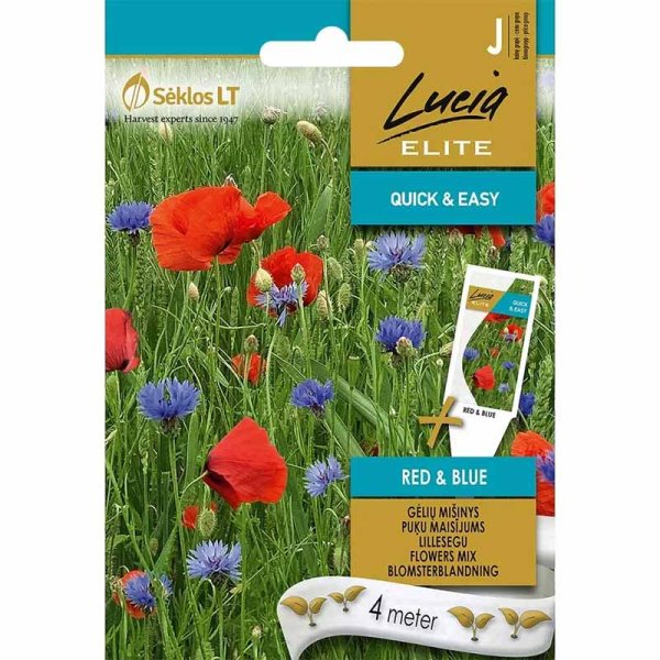 Blomsterblandning 'Red & blue'