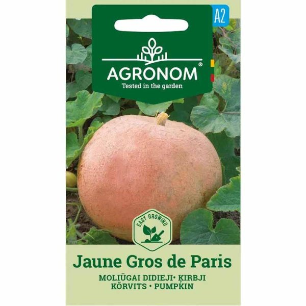 Pumpa 'Jaune gros de paris'