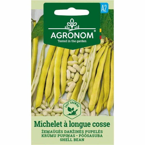 Kokböna 'Michelet à longue cosse'