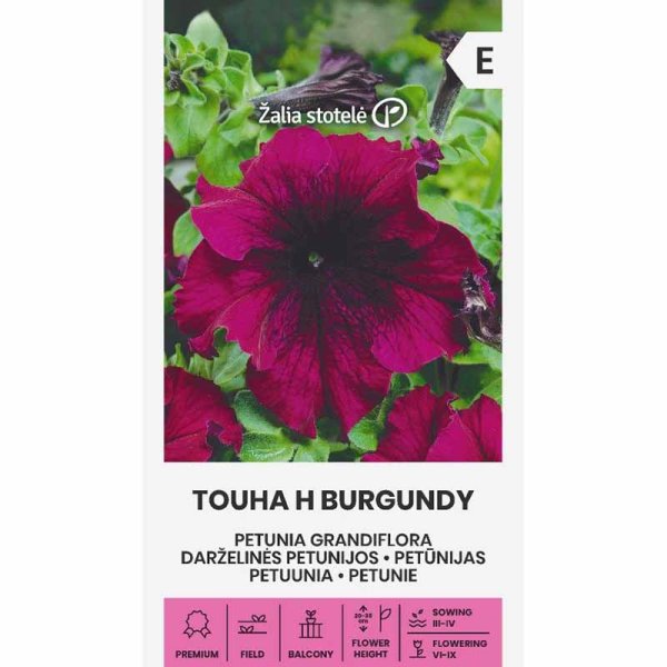 Doftpetunia 'Touha h burgundy'