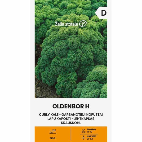 Grönkål 'Oldenbor' H
