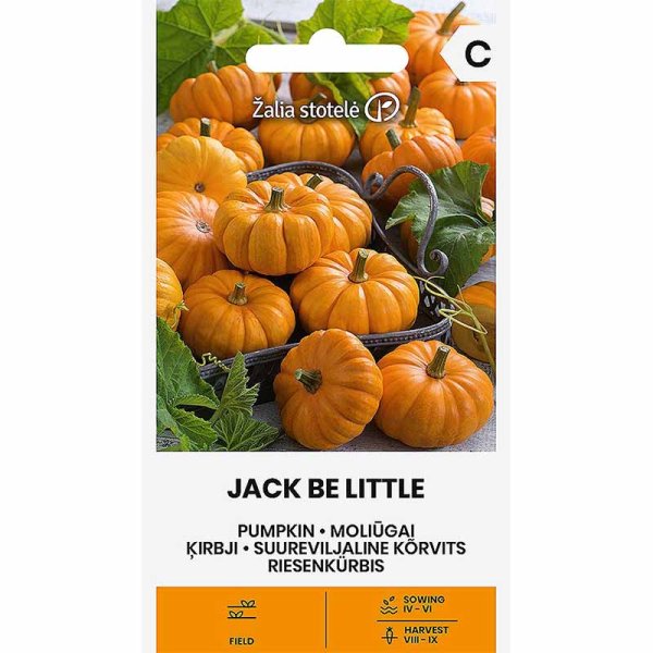 Pumpa 'Jack be little'