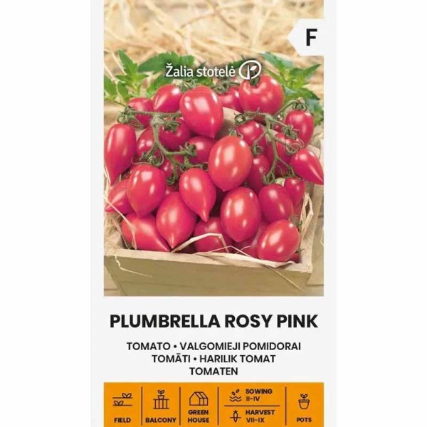 Tomat 'Plumbrella rosy pink'