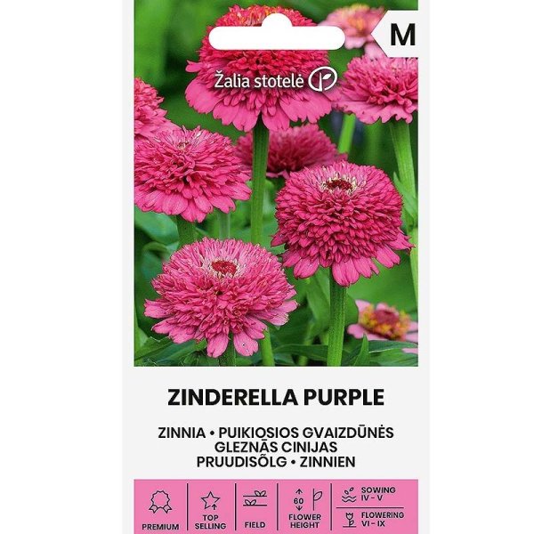 Zinnia 'Zinderella purple'