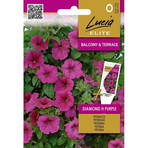 Petunia 'Diamond' H Purple