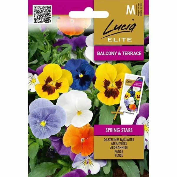 Pensé 'Spring Stars'