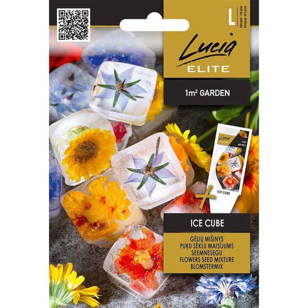 Blomsterblandning 'Ice cube'