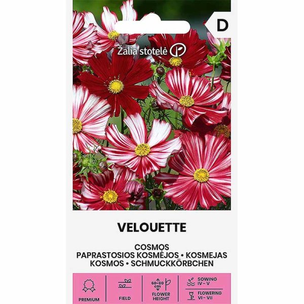 Rosenskära 'Velouette'