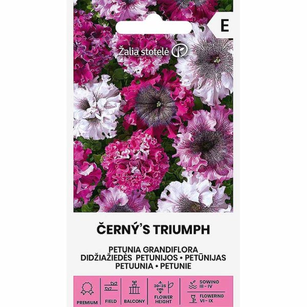 Petunia 'Grandiflora Cernys triumf'
