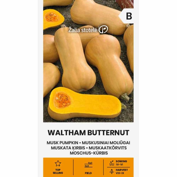 Myskpumpa 'Waltham butternut'
