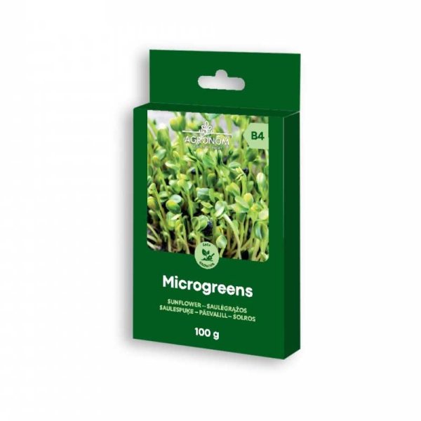 Microgreens solros