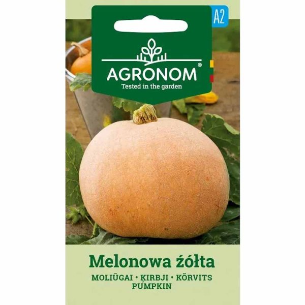 Pumpa 'Melonova Zolta'