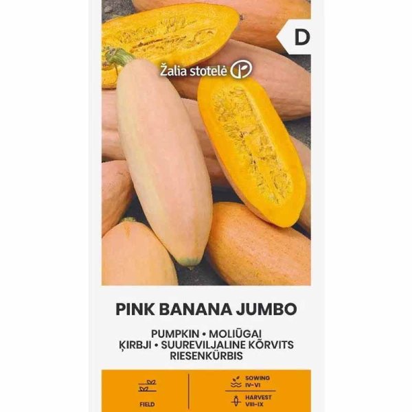 Jättepumpa 'Pink banana jumbo'