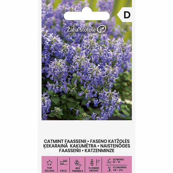 Kattmynta 'Faasseni'