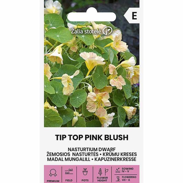 Krasse 'Tip Top Pink Blush'