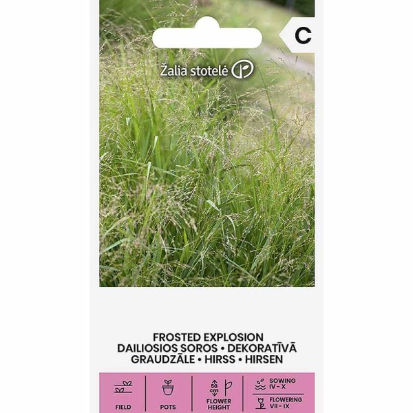 Prydnadshirs 'Frosted explosion'