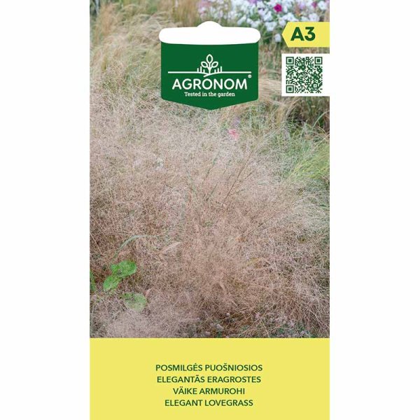 Elegant kärleksgräs