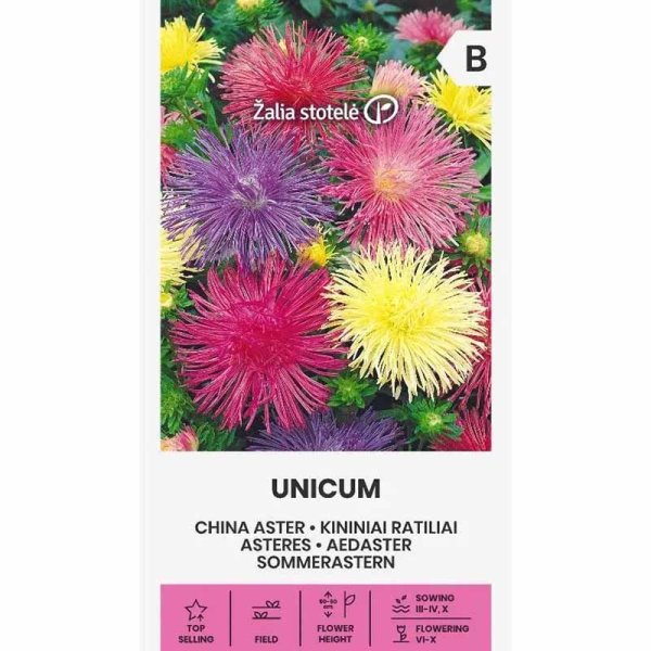Sommaraster 'Unicum mix'