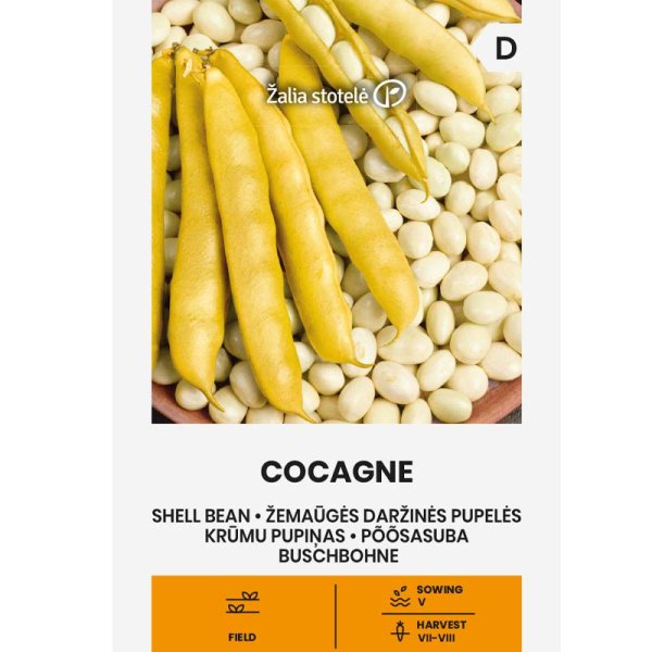 Spritböna 'Cocagne'