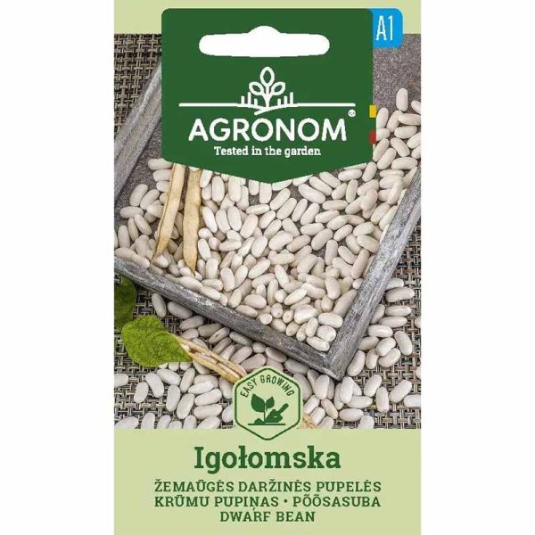 Kokböna 'Igołomska'