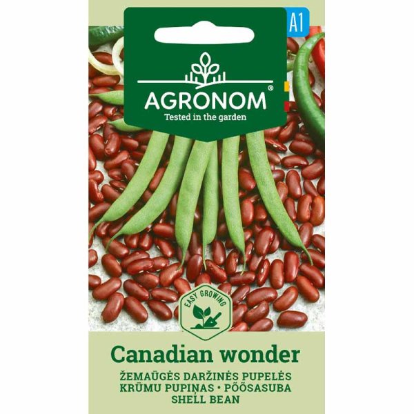Kidneyböna 'Canadian Wonder'