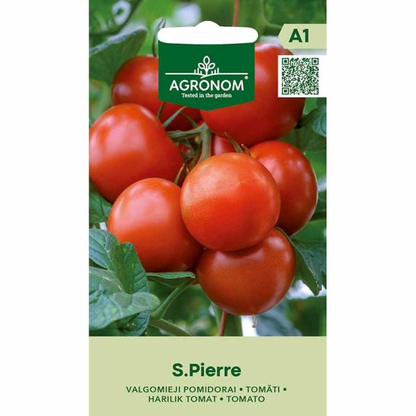 Tomat 'Saint Pierre'