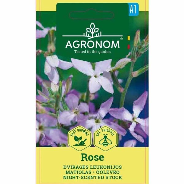 Grekisk lövkoja 'Rose'