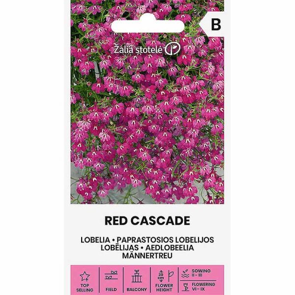 Kantlobelia 'Red Cascade'