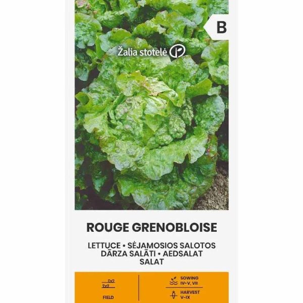 Sallat 'Rouge grenobloise'