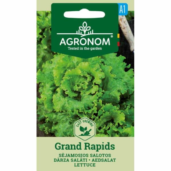 Sallad 'Grand rapids'