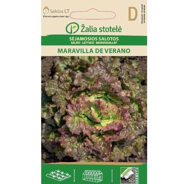 Bataviasallat 'Maravilla de verano'