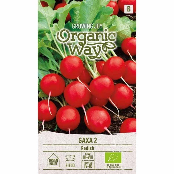 Rädisa 'Saxa 2'