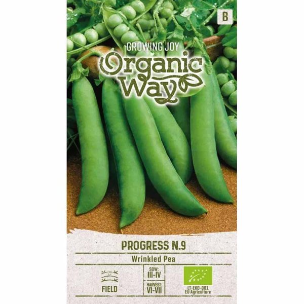 Märärt 'Progress N.9'