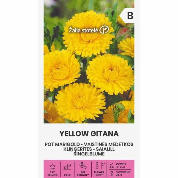 Ringblomma 'Yellow gitana'