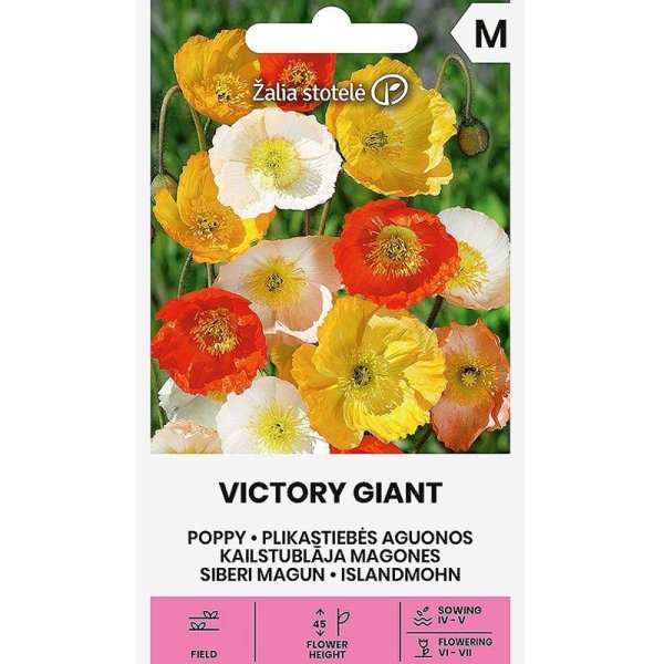 Vallmo 'Victory Giant'
