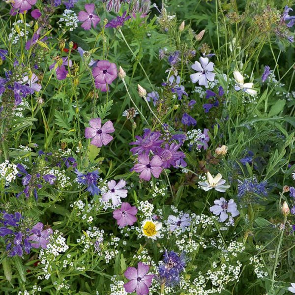 Blomsterblandning Japan mix