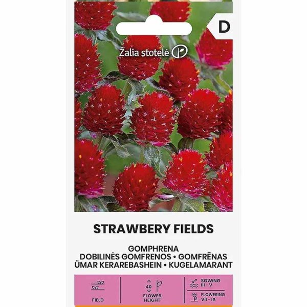 Röd guldamarant 'Strawberry fields'