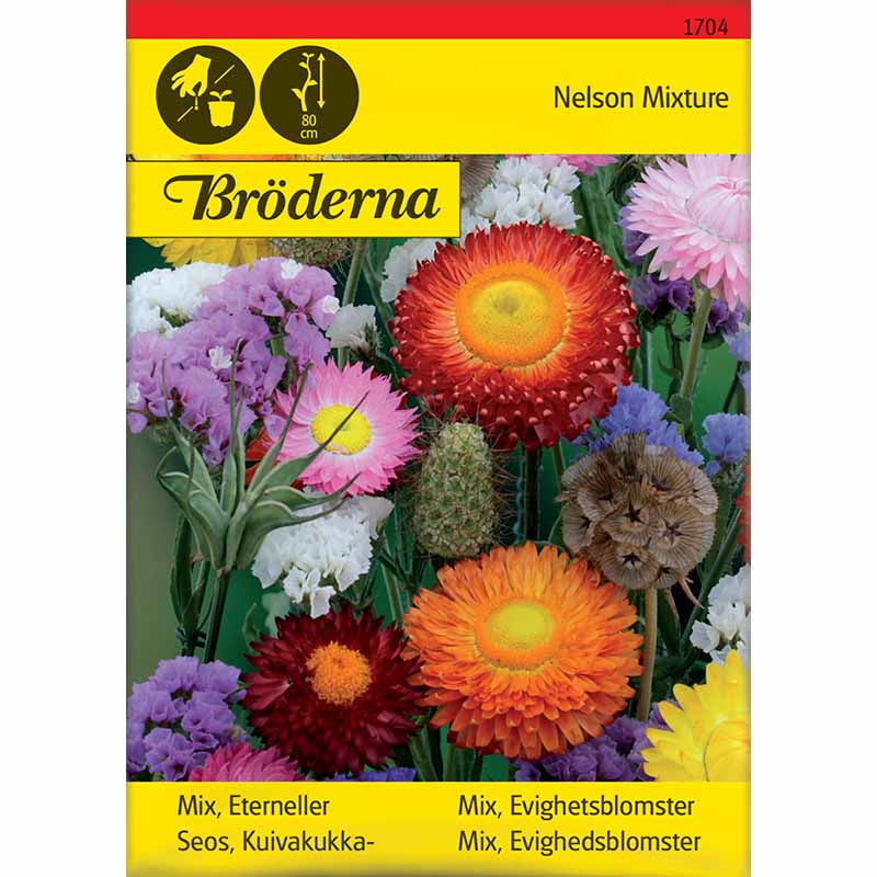 Blomsterblandning eterneller