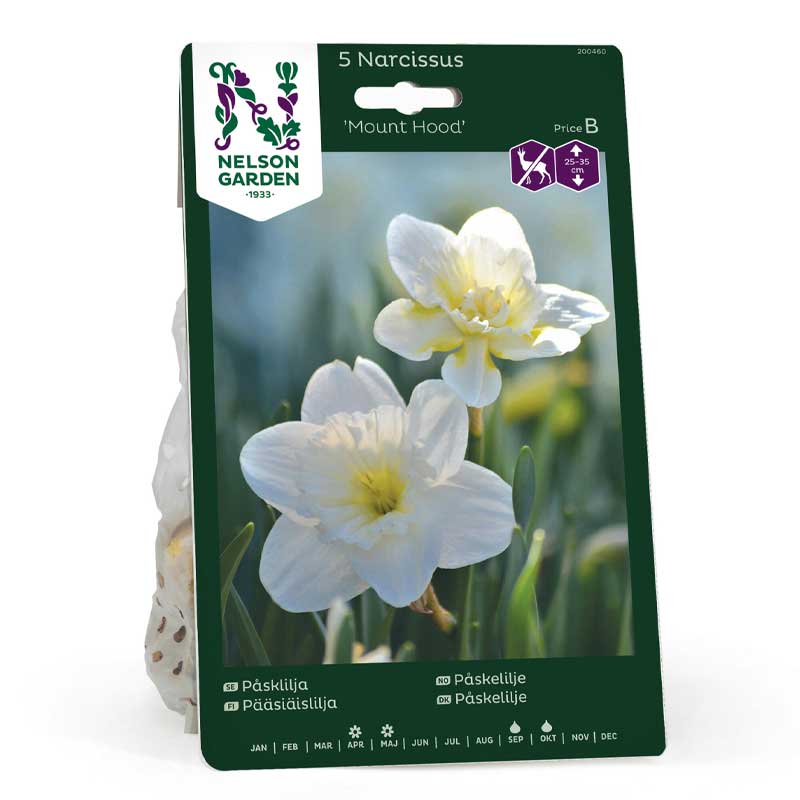 Påsklilja 'Mount Hood'