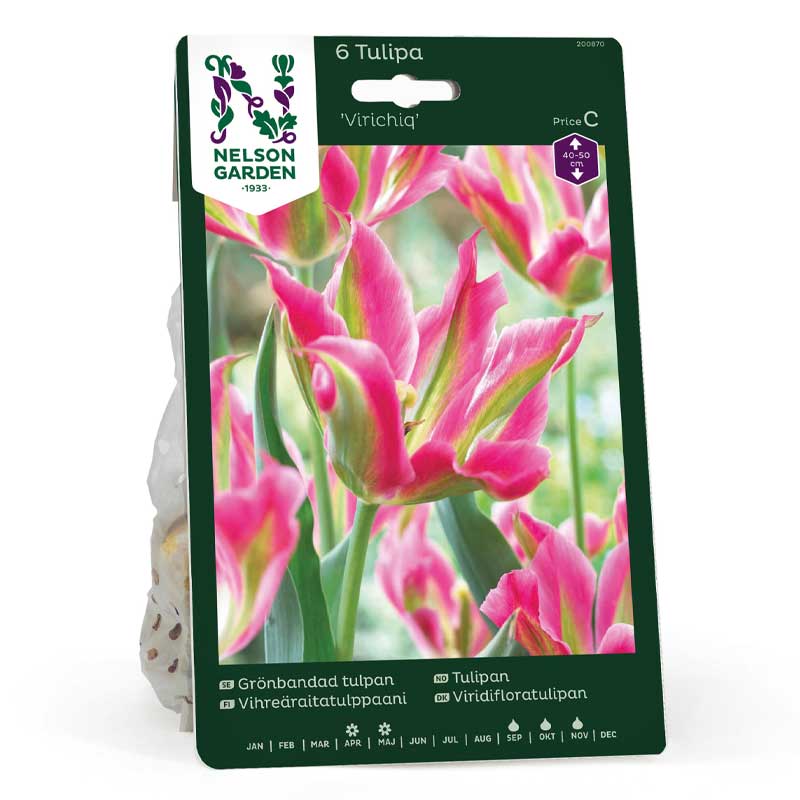 Grönbandad 'Tulpan Virichig'