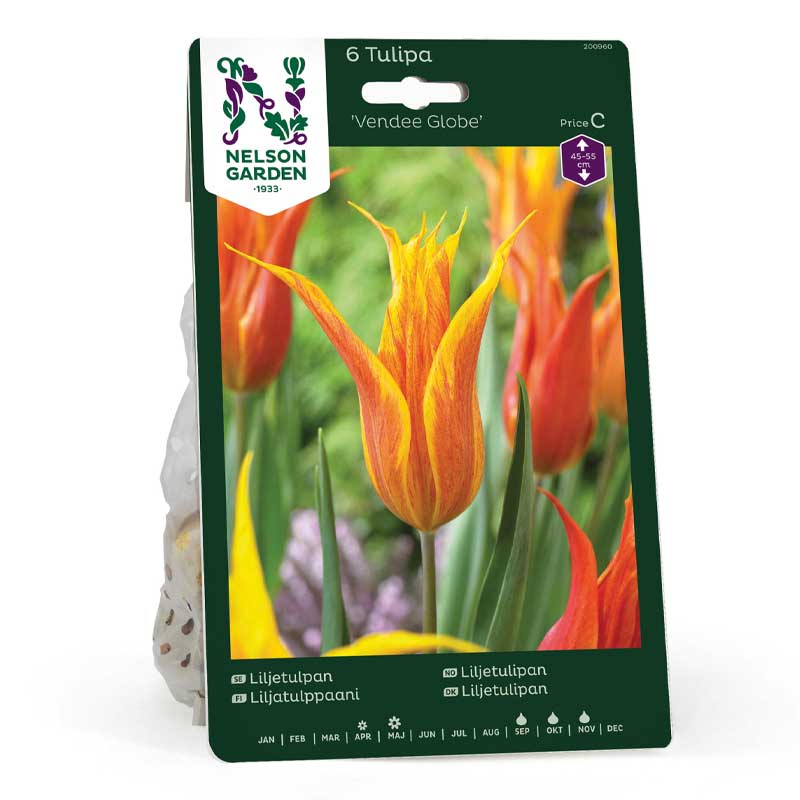 Liljetulpan 'Vendee Globe'