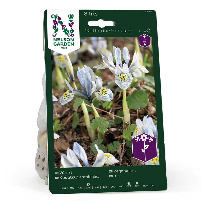 Våriris 'Katharine Hodgkin'