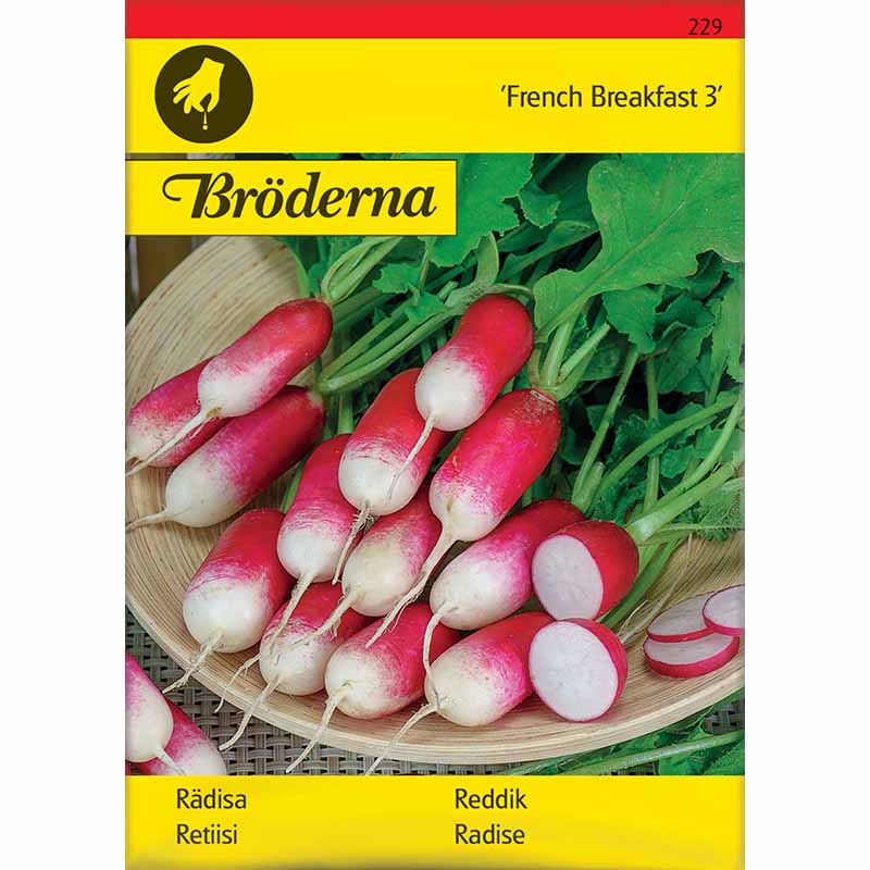 Rädisa 'French Breakfast 3'