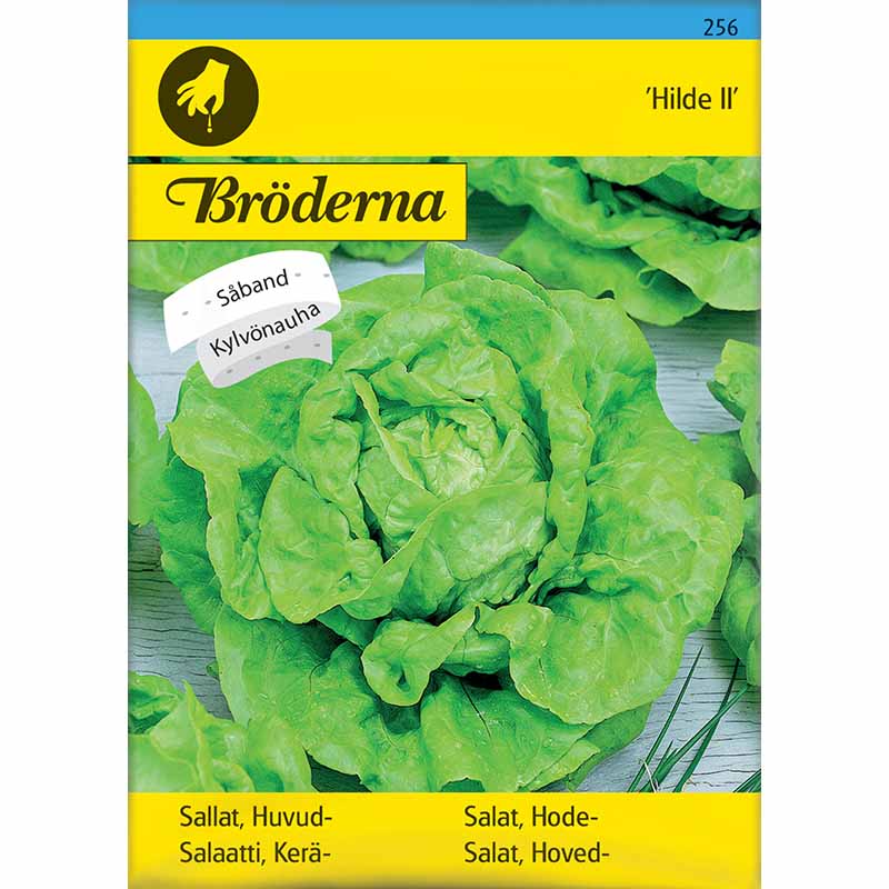 Huvudsallat 'Hilde II' Såband