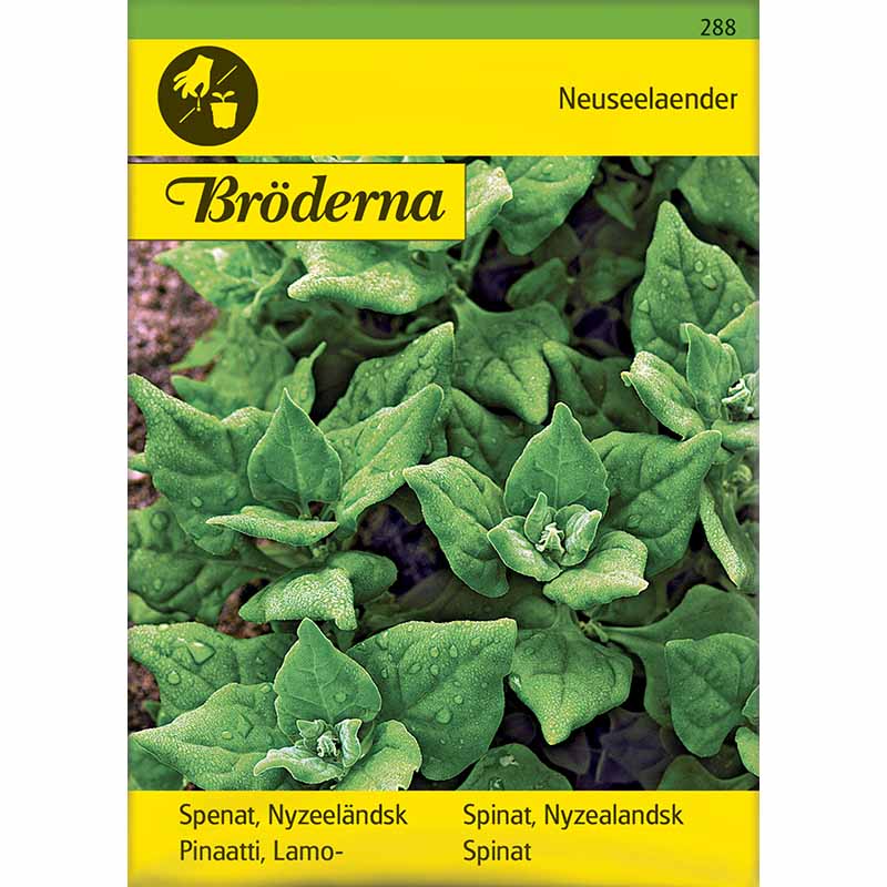 Nyzeeländsk Spenat