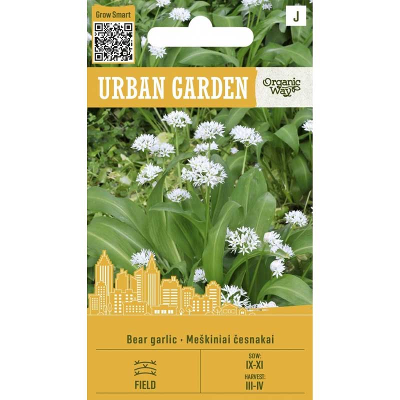 Vildvitlök ’Bear Garlic’